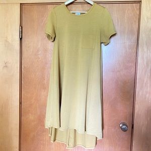 LuLaRoe Carly Dress
